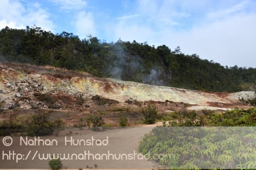 Steam, sulphur, and trees